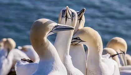 99贵宾会平台-武磊浪费单刀辜负信任 灾星？2轮离场后队友进5球