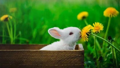 攻坚战or对攻战?马竞坚硬防线考验切尔西攻击群